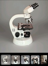 WILL Wetzlar Stereo Mikroskop