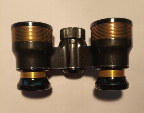 Vintage opernglas lederetui - vintage, in